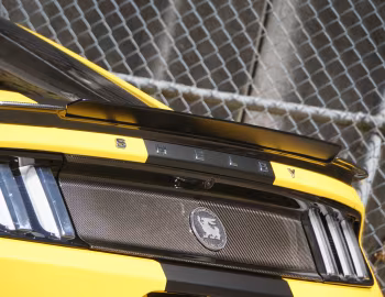 Shelby Terlingua [Australia] (17TRTX6702) '2017