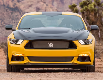 2016 Shelby Terlingua (16TRT0001) '2016