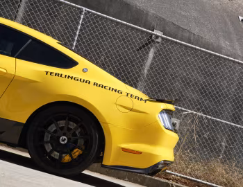 Shelby Terlingua [Australia] (17TRTX6702) '2017