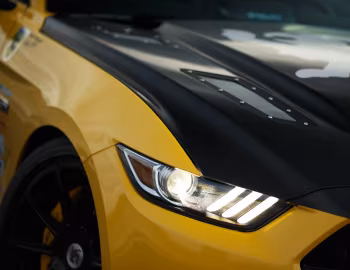 2016 Shelby Terlingua (16TRT0001) '2016