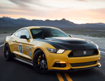 2016 Shelby Terlingua (16TRT0001) '2016