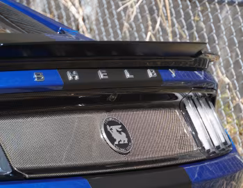 Shelby Terlingua [Australia] (17TRTX6701) '2017
