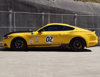 Shelby Terlingua [Australia] (17TRTX6702) '2017