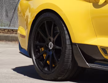 Shelby Terlingua [Australia] (17TRTX6702) '2017