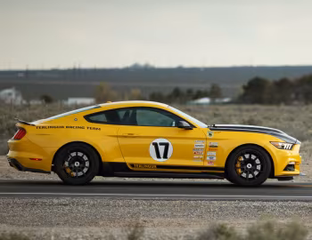 2016 Shelby Terlingua (16TRT0001) '2016