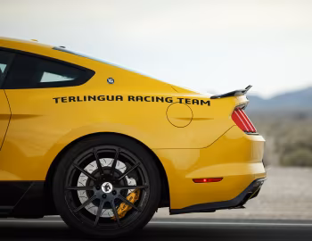 2016 Shelby Terlingua (16TRT0001) '2016