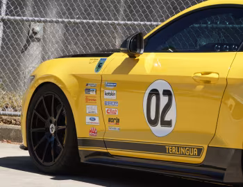 Shelby Terlingua [Australia] (17TRTX6702) '2017