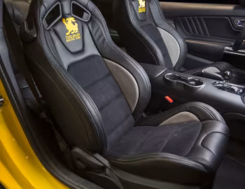 Intérieur 2016 Shelby Terlingua (16TRT0001) '2016