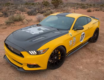 2016 Shelby Terlingua (16TRT0001) '2016
