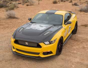 2016 Shelby Terlingua (16TRT0001) '2016