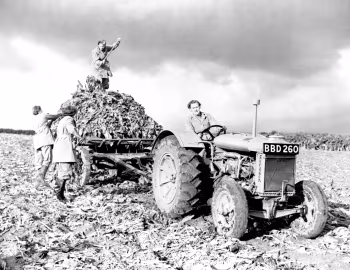 Fordson Model N '1929–45