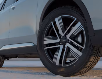 Ford Territory Titanium Hybrid [Middle East] '2025–pr.