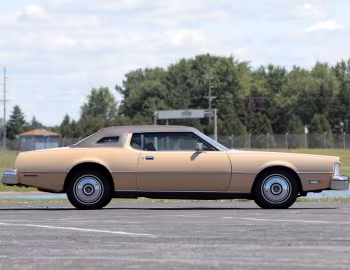1976 Ford Thunderbird (87-65K)