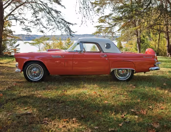 1956 Ford Thunderbird Special 312/225 HP