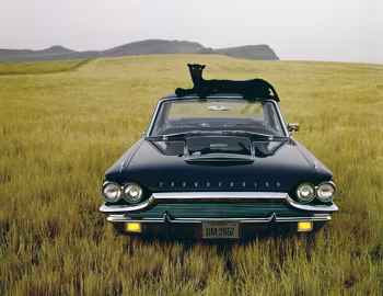 1964 Ford Thunderbird Hardtop Coupe (63A)