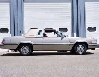 1982 Ford Thunderbird Town Landau (66D) '1981–82