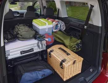 Ambos Ford Grand Tourneo Connect Titanium [Worldwide] '2022–pr.