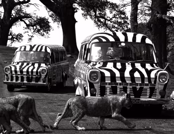 Ford Transit LWB [UK-spec] '1965–71