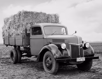 Ford V 3000 S Rhein Pritschenwagen '1948–50