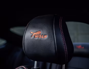 Interior Wolf Racing Ford Mustang "One of 7" '2019
