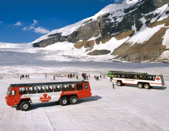 Foremost Terra Bus '1981–pr.