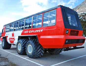 Foremost Terra Bus '1981–pr.