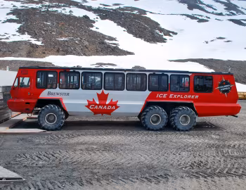 Foremost Terra Bus '1981–pr.