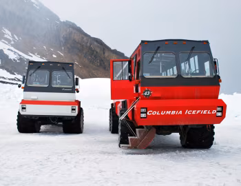 Foremost Terra Bus '1981–pr.