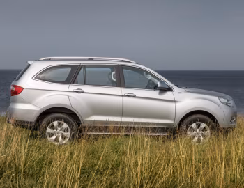 Foton Sauvana [Russia] '2017–20