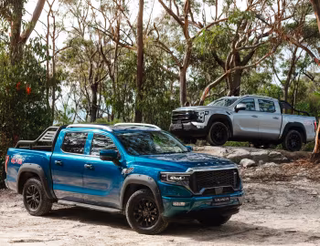 Foton Tunland '11.2011–pr.