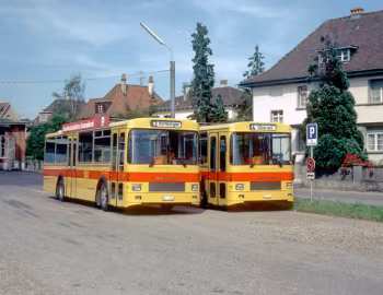 Saurer SH 560-25 Frech-Hoch [Switzerland] '1980–81