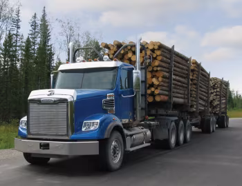 Freightliner 122SD '2013–pr.