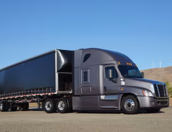 Freightliner Cascadia Raised Roof '2007–н.в.