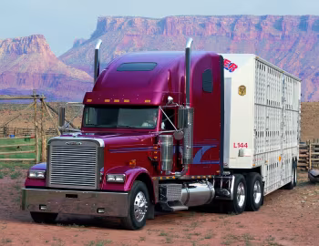 Freightliner Classic '1990–2010