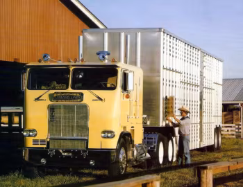 Freightliner FLT 9664 '1979–????