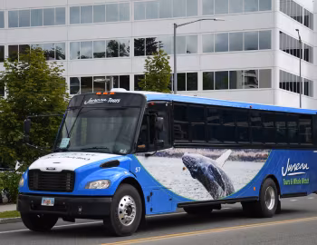 Thomas Transit-Liner C2 '02.2012–pr.