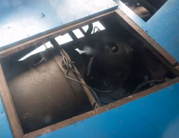 Sous la capuche Fuldamobil S-6 '1956–57