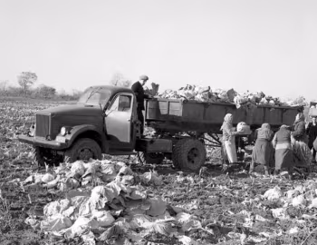 ГАЗ-63Д '1955–68