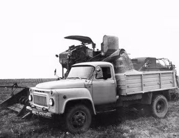 САЗ-3503 '1974–83