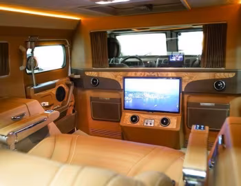 Interior ВПК-233136 "Тигр VIP" '2018