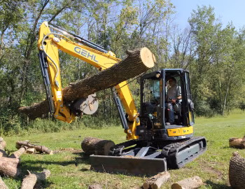 Gehl Z55 '2015–pr.