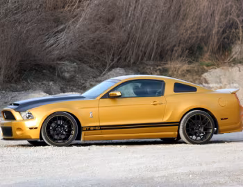 Geiger Shelby GT640 Golden Snake '2011–12