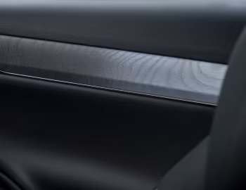 Интерьер Genesis Electrified G80 [Worldwide] (RG3) '2021–24