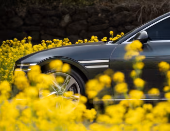 Genesis G90 [South Korea] (RS4) '12.2021–н.в.