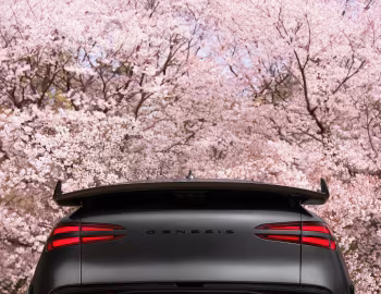 Genesis GV60 Magma [South Korea] '01.2026