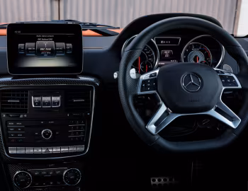 Panel frontal Mercedes-AMG G 63 "Colour Edition" [UK-spec] (Br.463) '2016–18