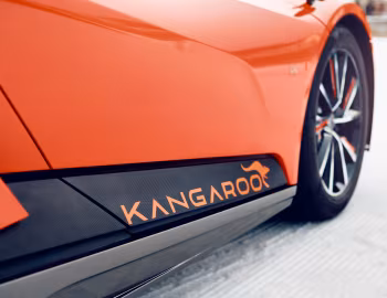 GFG Kangaroo '03.2019