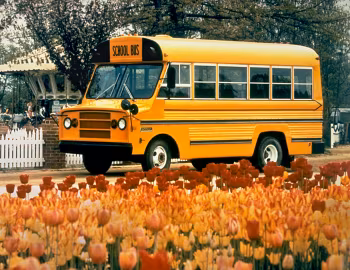 1980 Superior Pacemaker