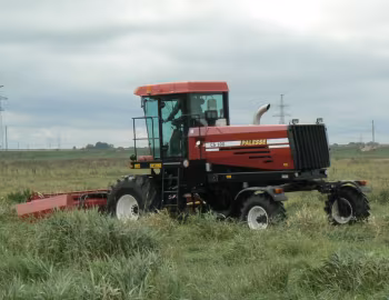 Palesse CS100 '2018–24