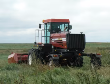 Palesse CS100 '2018–24